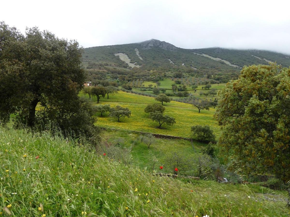 Casa Rural La Colmena Del Geoparque Navatrasierra Eksteriør bilde