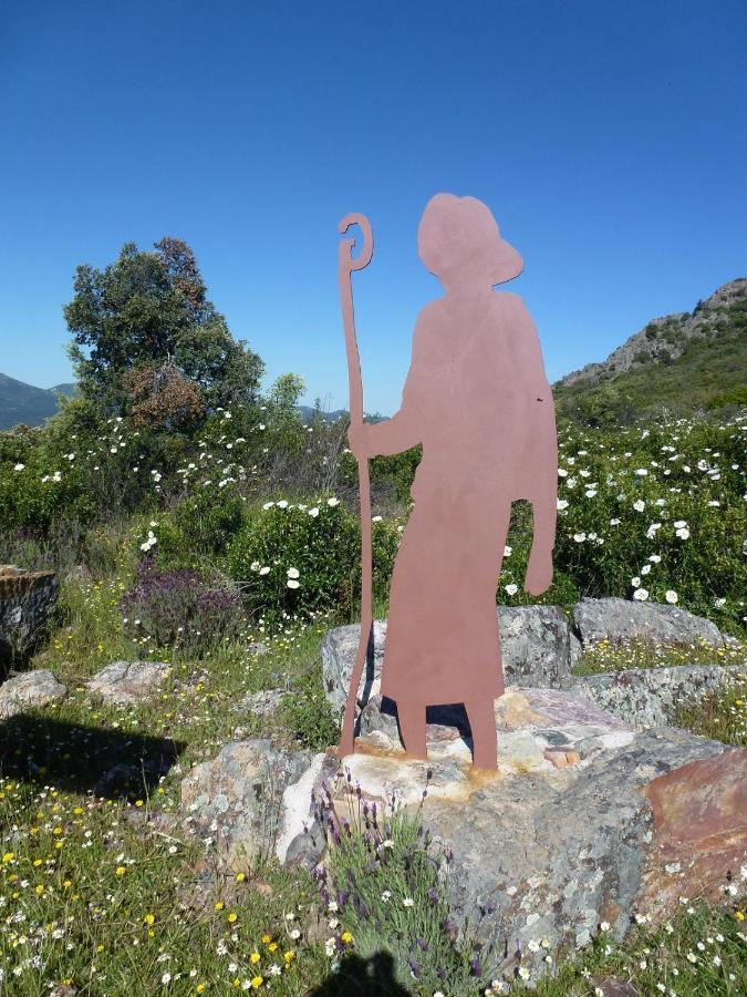 Casa Rural La Colmena Del Geoparque Navatrasierra Eksteriør bilde