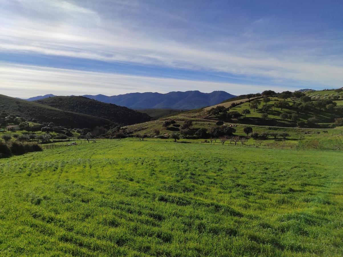 Casa Rural La Colmena Del Geoparque Navatrasierra Eksteriør bilde