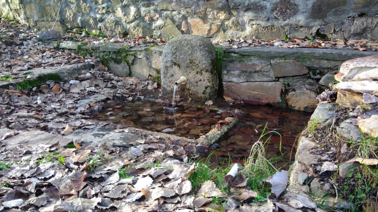 Casa Rural La Colmena Del Geoparque Navatrasierra Eksteriør bilde